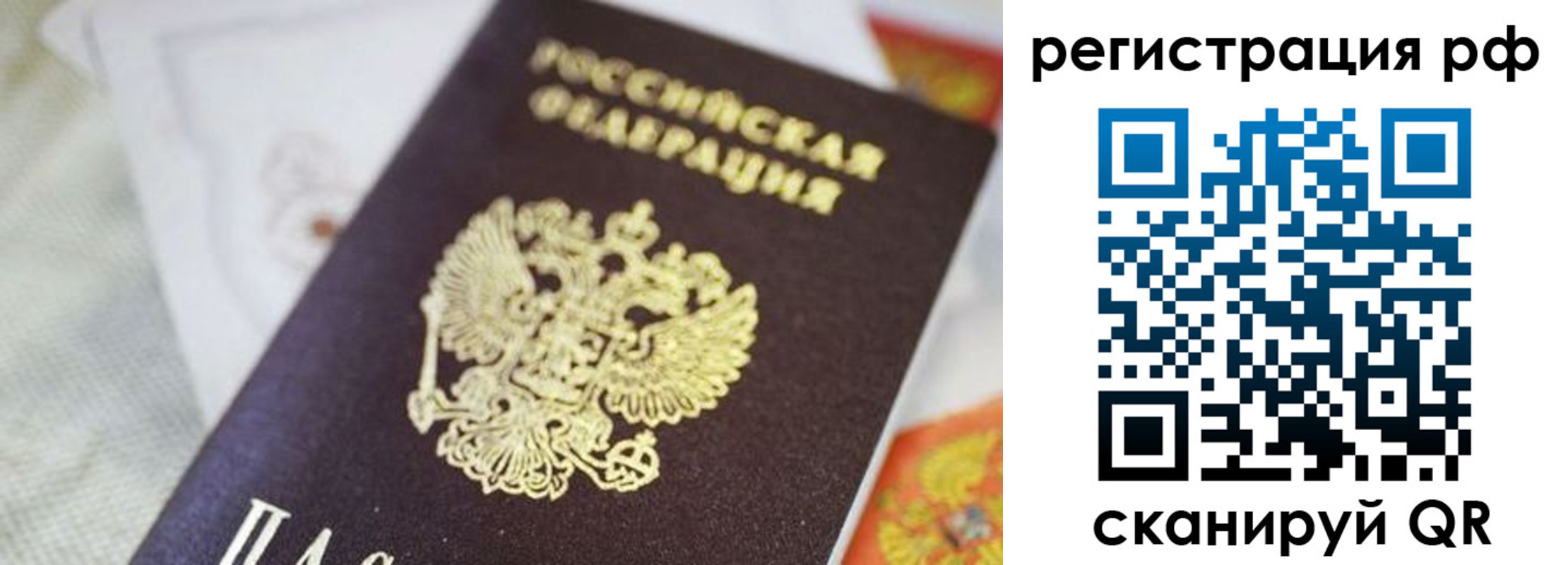 прописка гарантия в Йошкар-Оле